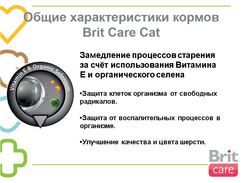 Замедление процессов старения за счёт использования Витамина Е и органического селена  •Защита клеток